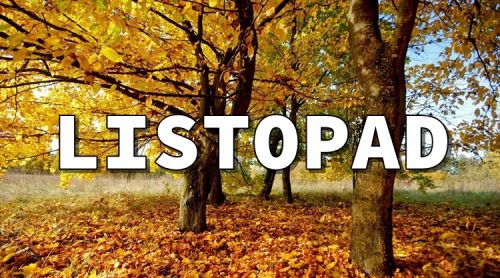 Aktualności na listopad